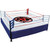 FTF 20' X 20' Professional Boxing Ring