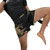 Hayabusa Falcon Muay Thai Shorts Black