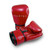 Fairtex Metallic Boxing Gloves BGV22 - Metallic Red