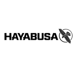 hayabusa.jpg