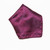 Eggplant Purple Paisley Design Handkerchief Pocket Square Hanky