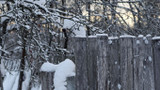 13 Ways to Winterize Your Backyard