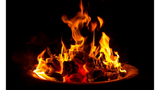 Gas vs Wood Burning Fire Pits: Choosing The Ideal Ignition