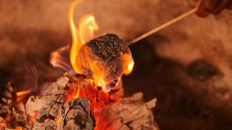 Savor the Season: 13 Delicious Fall Fire Pit Recipes