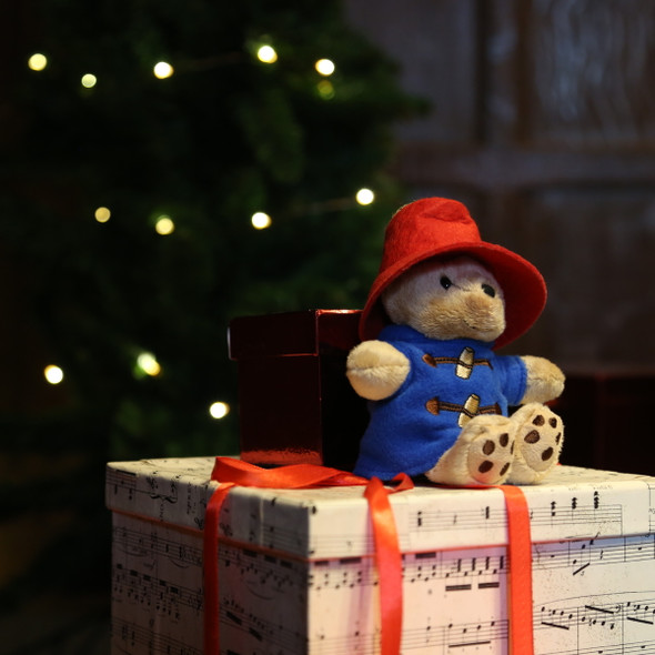 Small Paddington Bean Bear