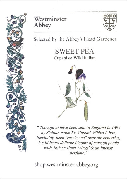 Westminster Abbey Sweet Pea Seeds