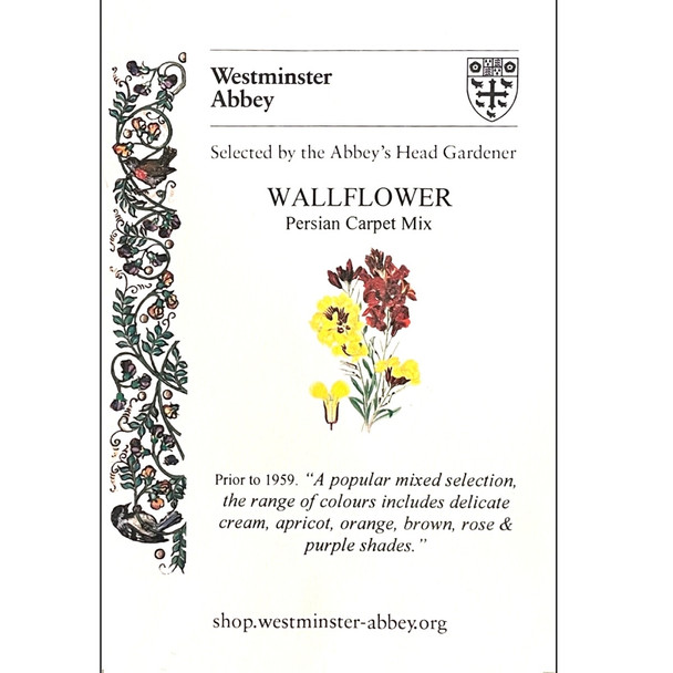 Westminster Abbey Wallflower Seeds
