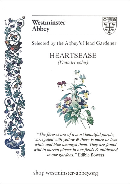 Westminster Abbey Heartsease Viola Seeds