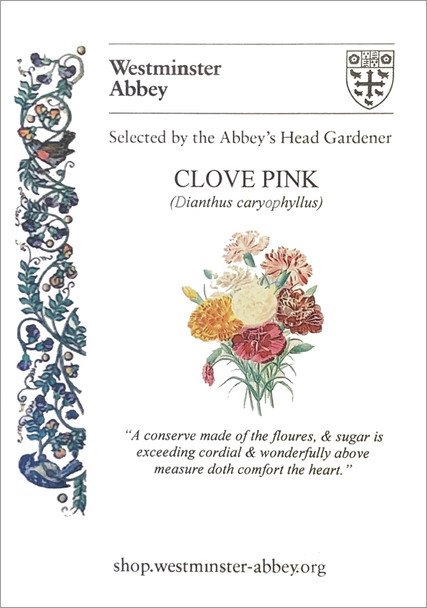 Westminster Abbey Clove Pink Seeds