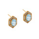 Royal Hexagon 18k Gold Plated Earrings