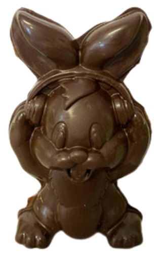 Bunny with Headphones