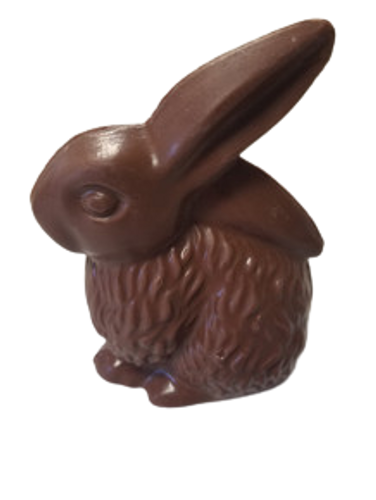 Fluffy Sitting Rabbit