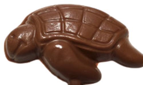 Sea Turtle Pop