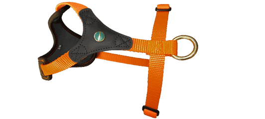 Niggeloh Follow START dog harness, Brown-Orange, size S/M, front view