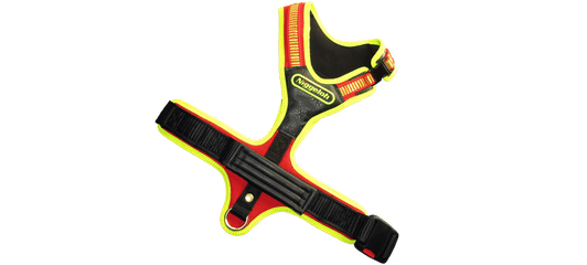 Niggeloh Follow SPORT PLUS dog harness, Yellow-Orange, Size S, top view