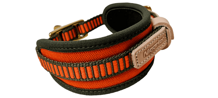 Niggeloh Blood Tracking Collar, orange-olive, size M 48–60 cm, 5.5 cm wide, side view