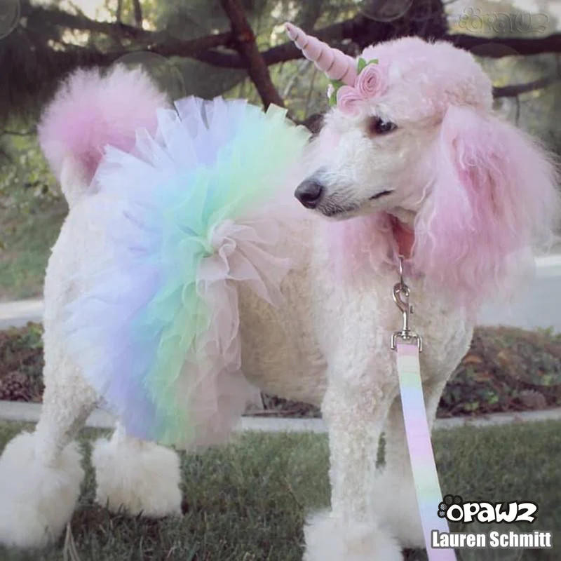 Pink Opawz Semi Permanent Opawz Semi-Permanent Dog Hair Dye, Food