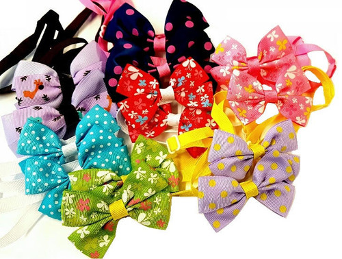 Cozymo Collar Bowties - Assorted Daily 