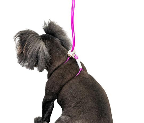  All For Groomers Vinyl Trach Saver 