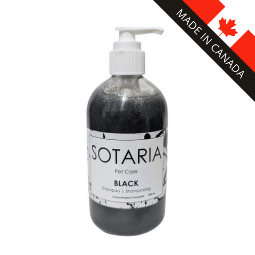 Sotaria BLACK Shampoo Concentrate - 500ml