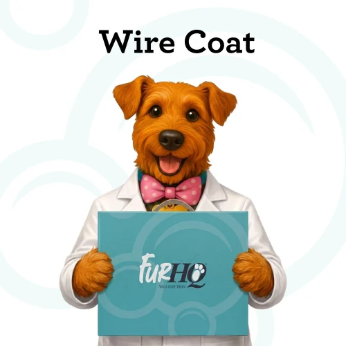 FurHQ Starter Grooming Kit - Wire Coat