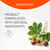 Artero Hidratante Moisturizing Bath Shampoo, image showing natural ingredients and vegan formulation.