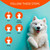 Artero Hidratante Moisturizing Bath Shampoo, dog grooming instructions infographic with steps for wetting, applying shampoo, lathering, waiting, and rinsing
