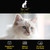  Chris Christensen Top Cat Clarifying Shampoo 