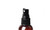 Eye Envy EYE ENVY ON THE SPOT HEALING & ITCH RELIEF SPRAY - 4oz 