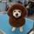 Opawz Teddy Brown Pet Hair Dye Kit (PD30), a brown pet dog with fluffy curly fur on a grooming table.