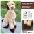 Opawz Teddy Brown Pet Hair Dye Kit, image of a dog with teddy-bear like brown hair dye on paws and body.