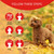 Artero Scarlet Shampoo, infographic showing steps for dog grooming