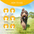 Artero Conditioner Ikon Vital, instructions for use on a dog, including wetting, applying, massaging, waiting 3-5 minutes, and rinsing or leaving in, with a happy dog running on the grass in the background.
