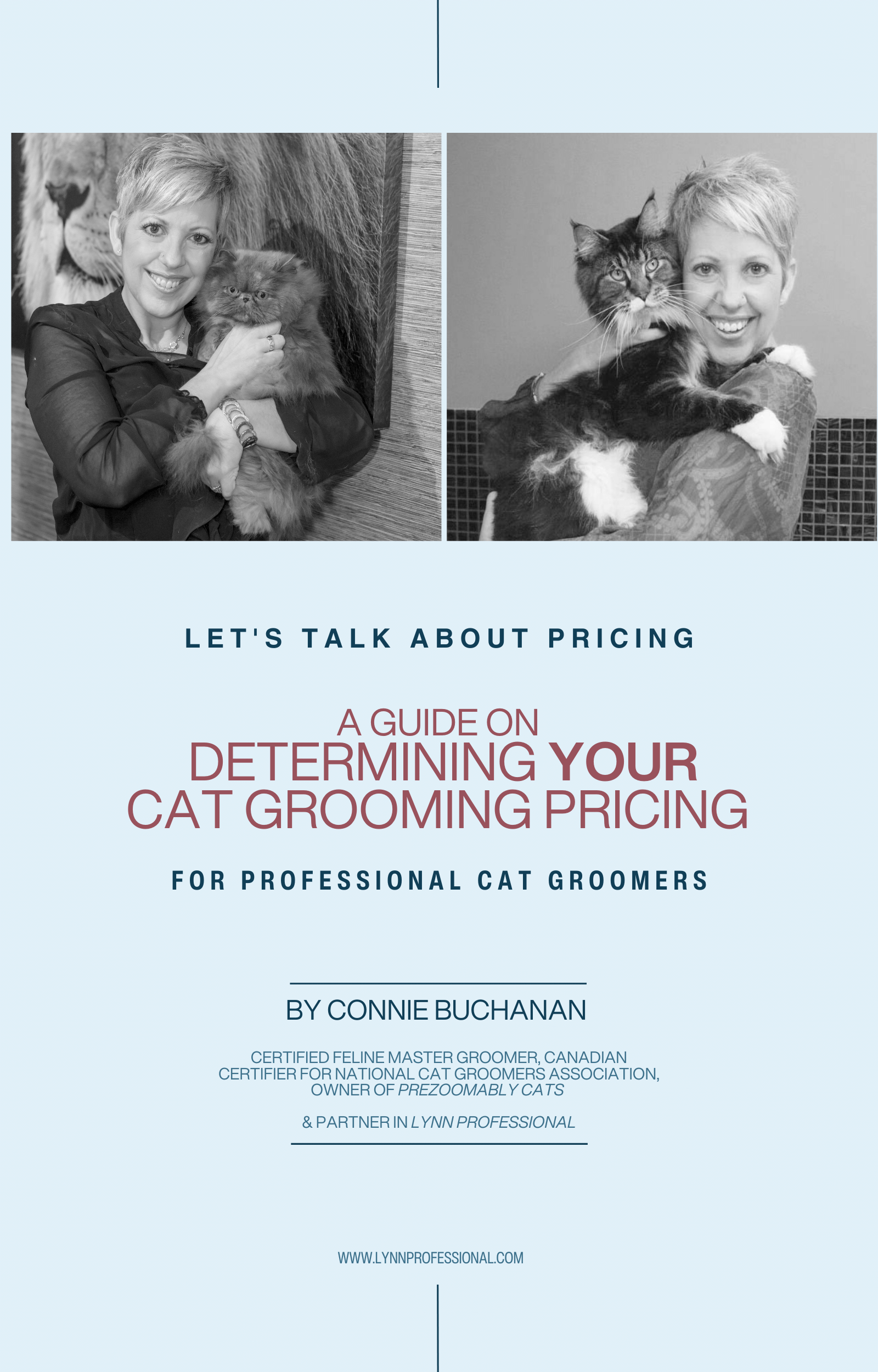Download Your PDF: How To Determine Your Cat Grooming Prices