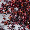 Macroalgae Seaweed