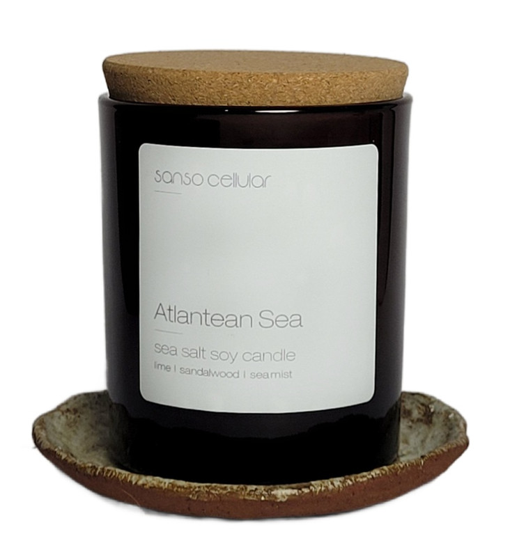 CLEARANCE Atlantean Sea Signature Pure Soy Candle I Lime I Cyclamen I Ocean Air CLEARANCE Atlantean Sea Signature Pure Soy Candle I Lime I Cyclamen I Ocean Air