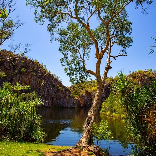 Leliyn Katherine Waterfalls, Pure Soy Candle Sanso Cellular Sonya Australia