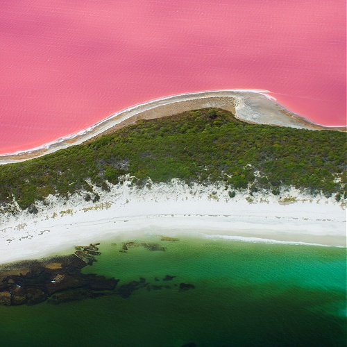 Pink Lake Australia Native Pure Soy Melt, Exclusive Sanso Cellular By Sonya Australia