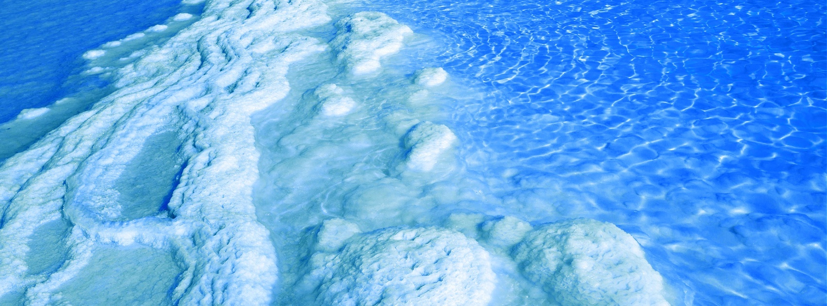 Zechstein Magnesium, MSM, Dead Sea Salt Body Aches Pains Bath Salt, Exclusive Sanso Cellular