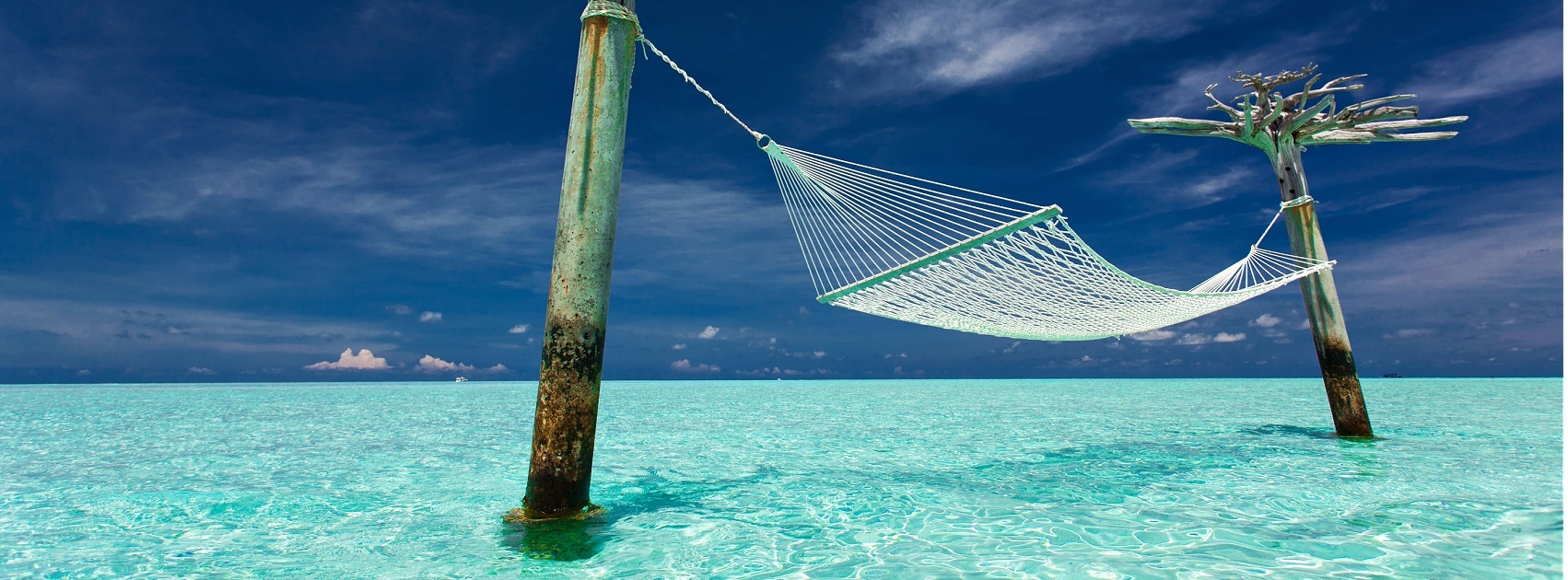 Maldives Lime Coconut Reed Diffuser, Exclusive Sanso Cellular Australia