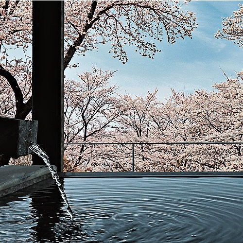Japanese Sakura Cherry Blossom Pure Soy Melt, Exclusive Sanso Cellular Sonya Australia