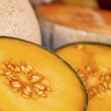 Seed Melon Cantaloupe Edisto 47