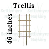 Wooden Trellis 18 W x 46 H