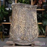 Pottery Cypress Planter LG 20 Atl. Gray