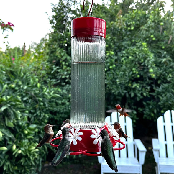 Hummingbird Feeder Ribbed Rose 28oz