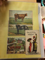 EARLY TWENTIETH CENTURY TRADE CARDS - 425952