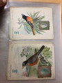 SINGER TRADE CARDS - SPECIALIST COLLECTION - 426411
