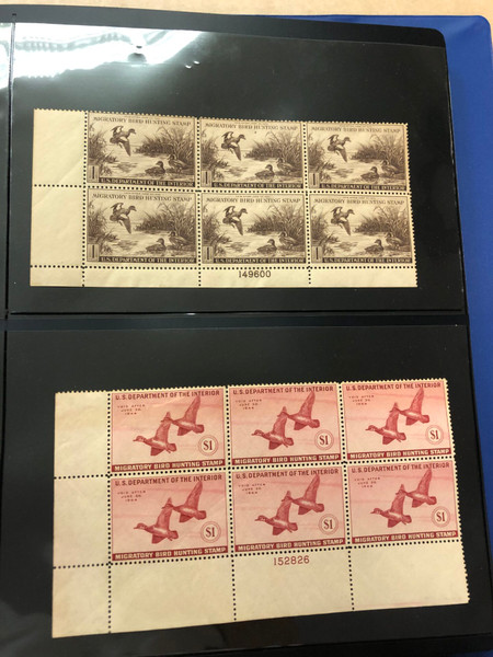 DUCKS – PREMIUM PLATE NUMBER BLOCKS – 426091