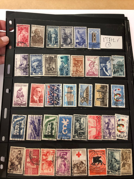 INTERNATIONAL SELECTION – 426040