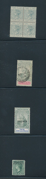 BRITISH AMERICA – 426273